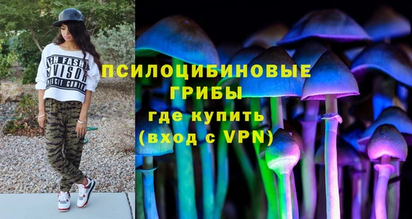 дурь Нефтегорск