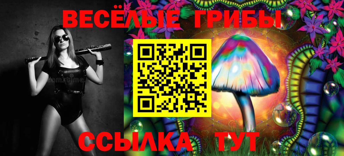Псилоцибиновые грибы Psilocybe Зима