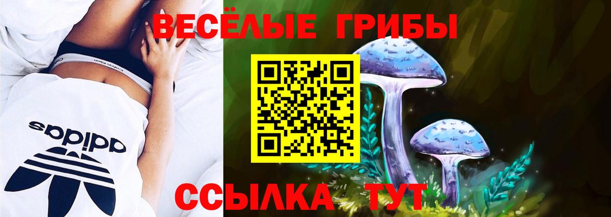 Галлюциногенные грибы Magic Shrooms  Вход с VPN  Галлюциногенные грибы ЛСД  Зима 