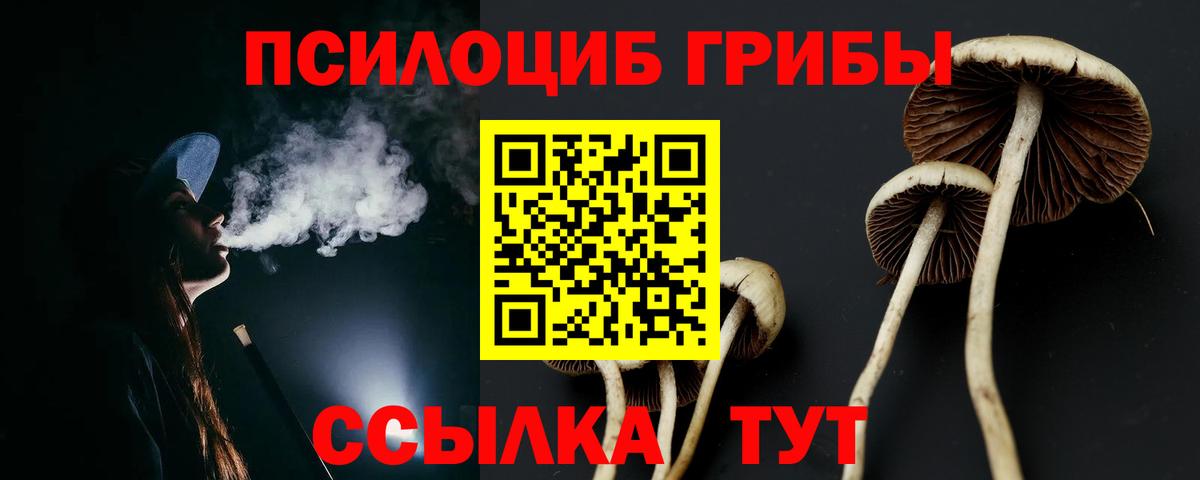 Псилоцибиновые грибы мухоморы Зима