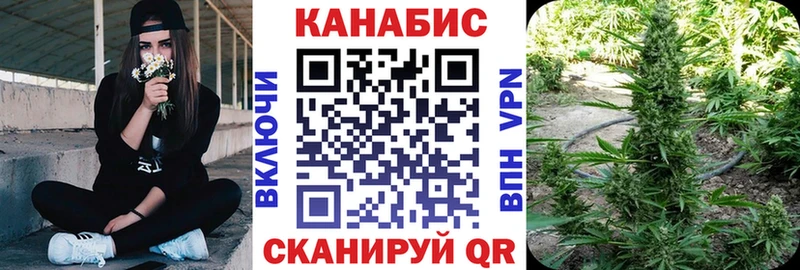 Каннабис сатива  купить наркотики цена  Зима 