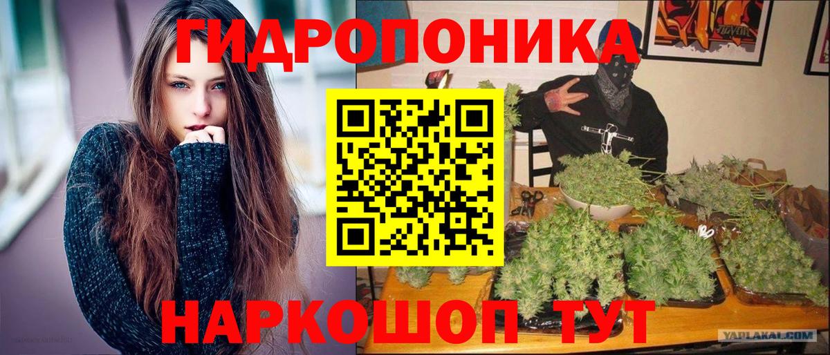 МАРИХУАНА план Зима